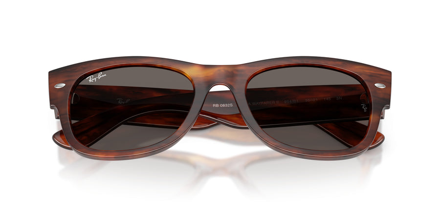 Propionate Unisex Sunglass RB0832S – Havana / Dark Grey