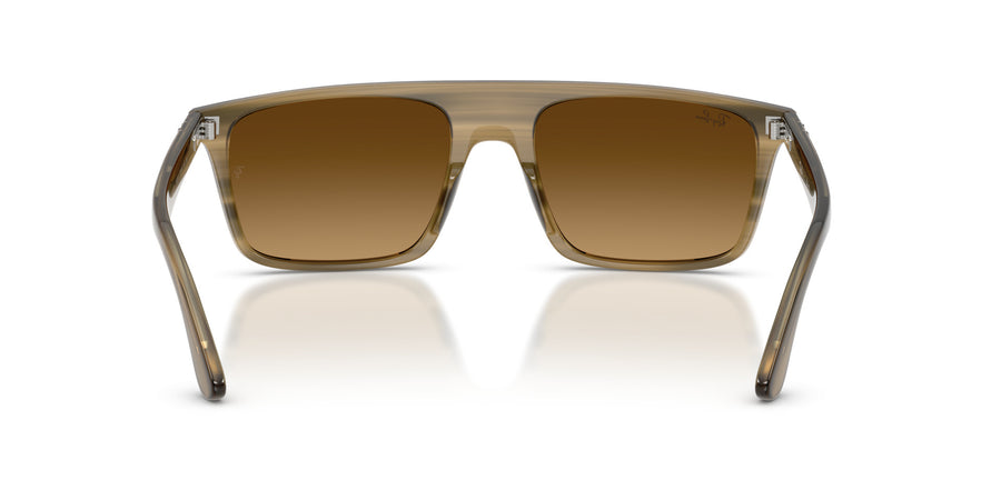 Propionate Unisex Sunglass RB2222 – Green / Gradient Brown
