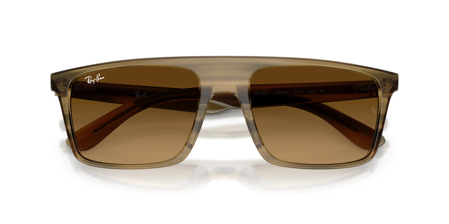 Propionate Unisex Sunglass RB2222 – Green / Gradient Brown