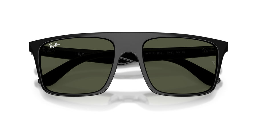 Propionate Unisex Sunglass RB2222 – Black / Green