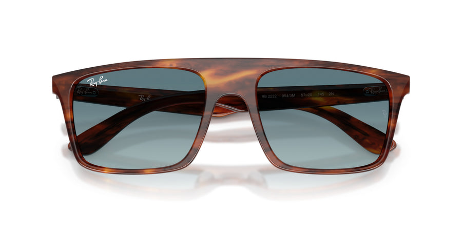 Propionate Unisex Sunglass RB2222 – Havana / Blue Gradient Grey