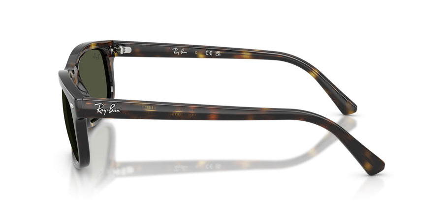 Propionate Unisex Sunglass RB2224 – Havana / Green
