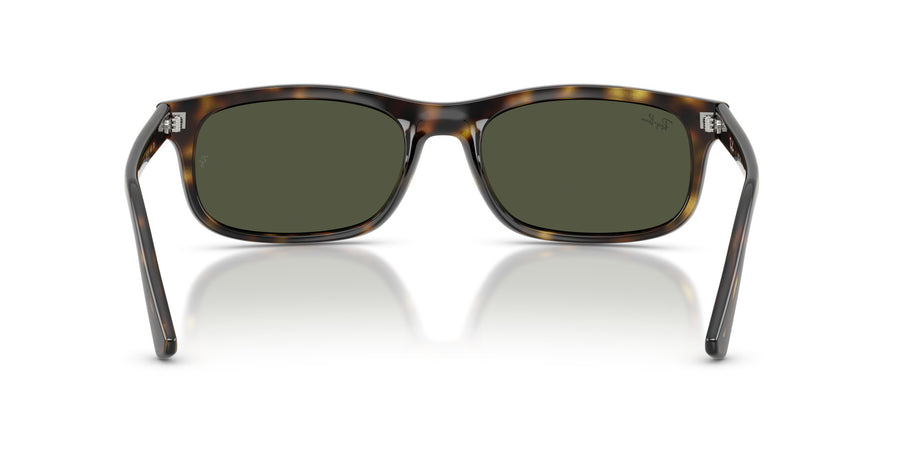 Propionate Unisex Sunglass RB2224 – Havana / Green