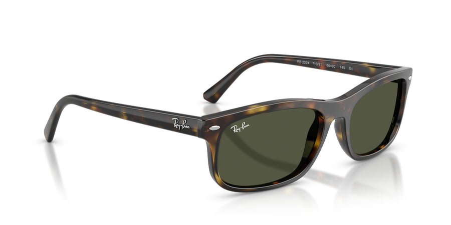 Propionate Unisex Sunglass RB2224 – Havana / Green