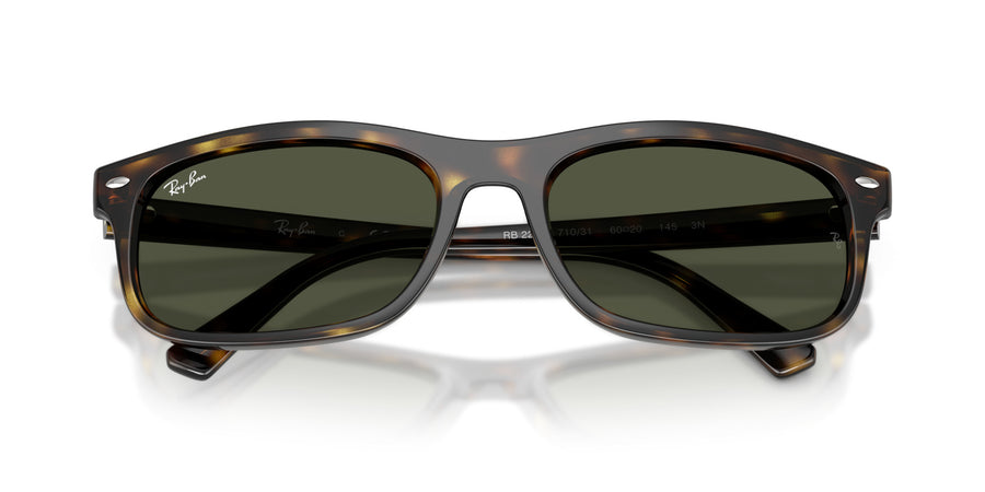 Propionate Unisex Sunglass RB2224 – Havana / Green