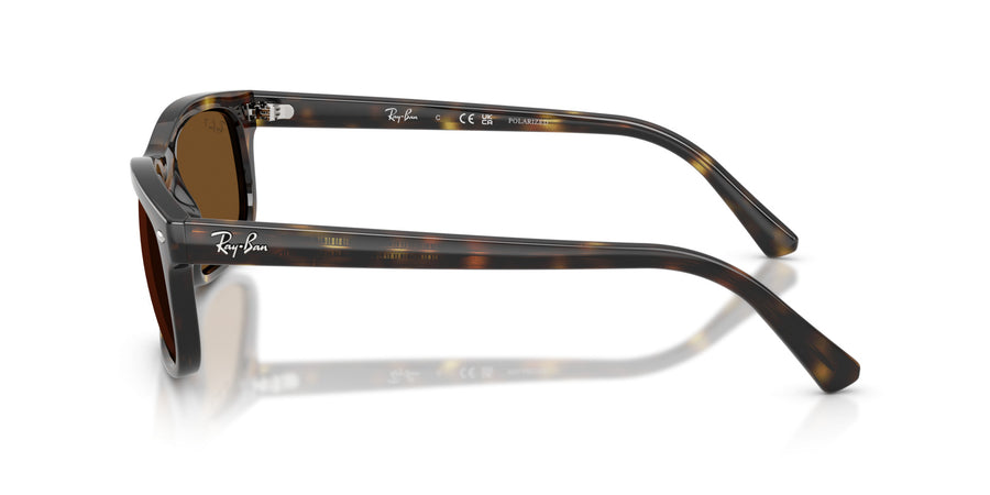 Propionate Unisex Sunglass RB2224 – Havana / Polar Brown