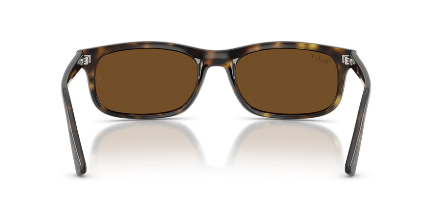 Propionate Unisex Sunglass RB2224 – Havana / Polar Brown
