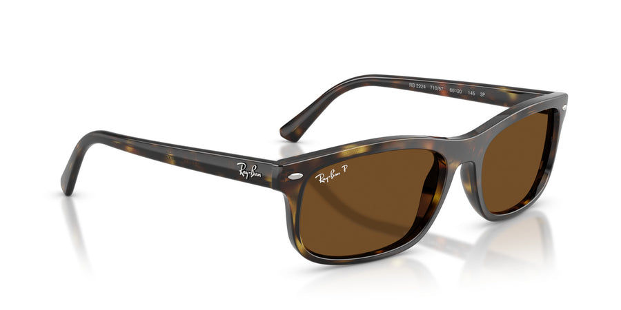 Propionate Unisex Sunglass RB2224 – Havana / Polar Brown