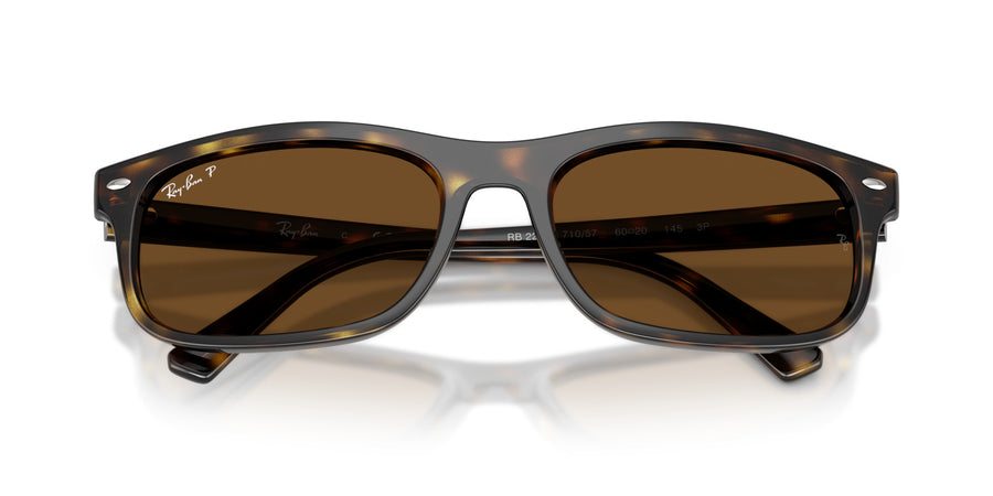 Propionate Unisex Sunglass RB2224 – Havana / Polar Brown