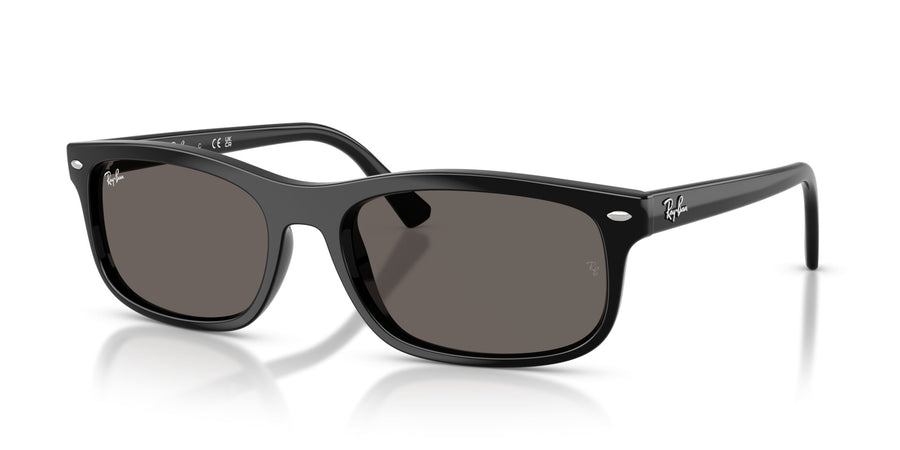 Propionate Unisex Sunglass RB2224 – Black / Dark Grey