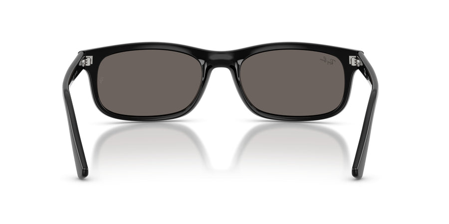 Propionate Unisex Sunglass RB2224 – Black / Dark Grey