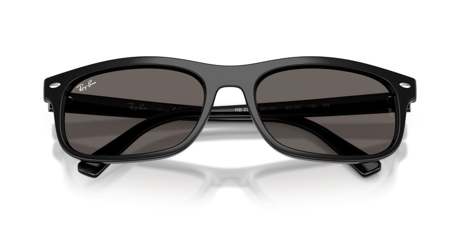 Propionate Unisex Sunglass RB2224 – Black / Dark Grey