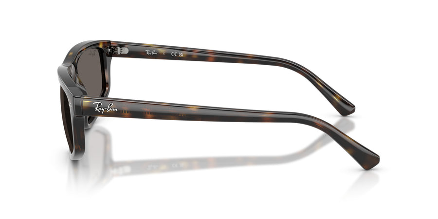 Propionate Unisex Sunglass RB2225 – Havana / Dark Grey