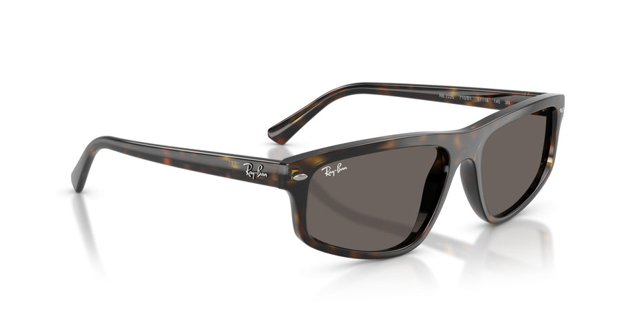 Propionate Unisex Sunglass RB2225 – Havana / Dark Grey