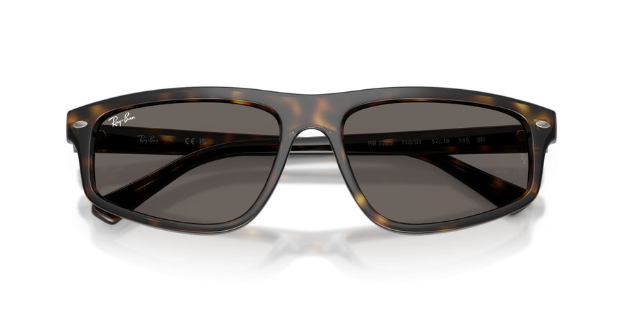 Propionate Unisex Sunglass RB2225 – Havana / Dark Grey