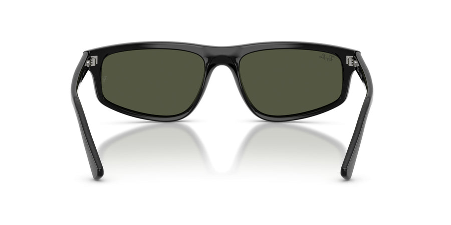 Propionate Unisex Sunglass RB2225 – Black / Green