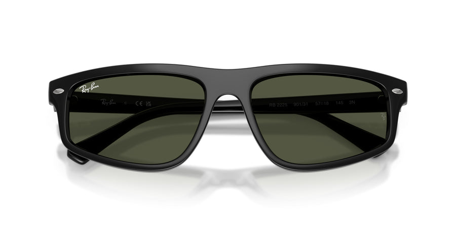 Propionate Unisex Sunglass RB2225 – Black / Green