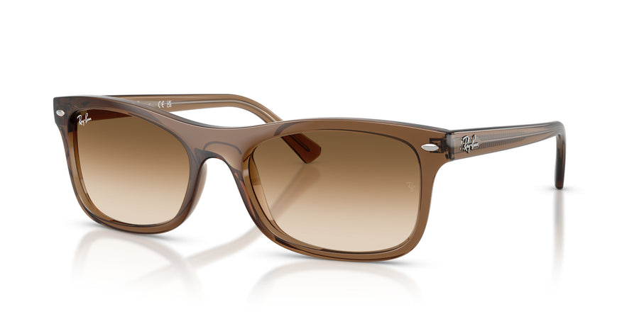 Propionate Unisex Sunglass RB2226 – Light Brown / Clear Gradient Brown