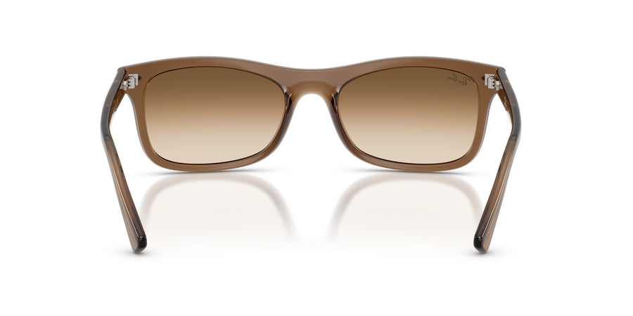 Propionate Unisex Sunglass RB2226 – Light Brown / Clear Gradient Brown