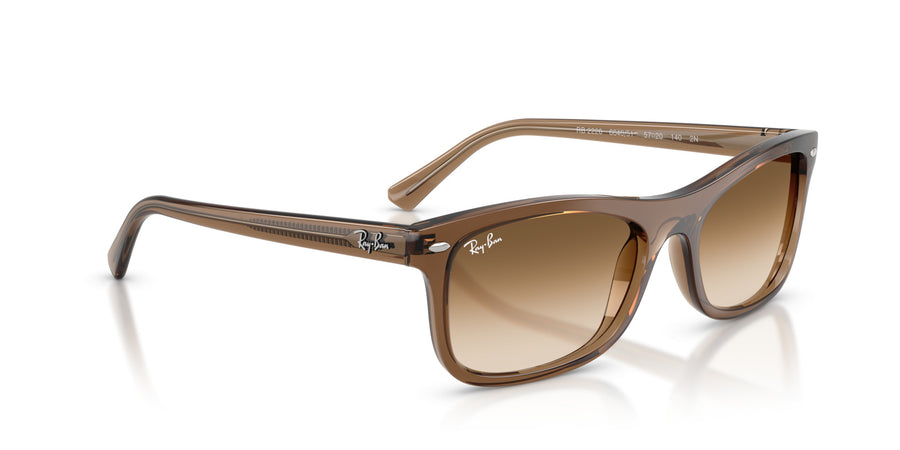 Propionate Unisex Sunglass RB2226 – Light Brown / Clear Gradient Brown
