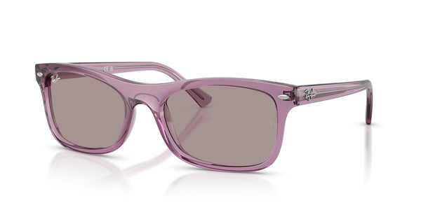 Propionate Unisex Sunglass RB2226 – Violet / Violet