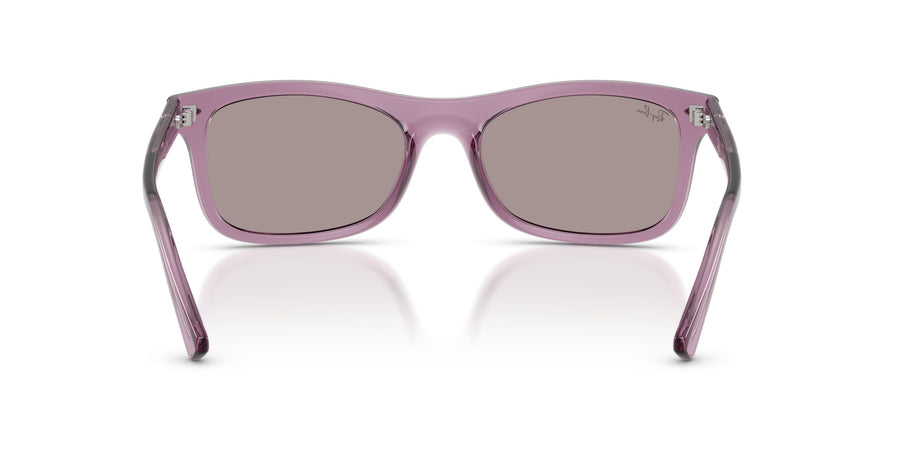 Propionate Unisex Sunglass RB2226 – Violet / Violet