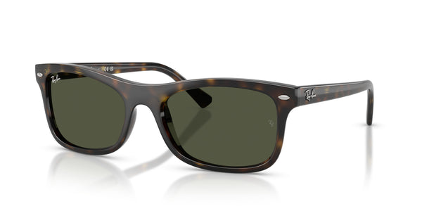 Propionate Unisex Sunglass RB2226 – Havana / Green