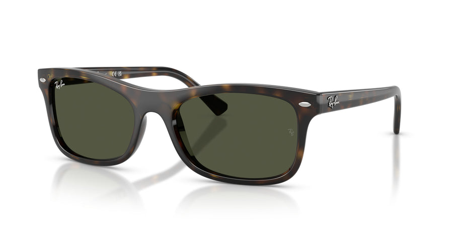 Propionate Unisex Sunglass RB2226 – Havana / Green