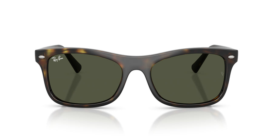 Propionate Unisex Sunglass RB2226 – Havana / Green