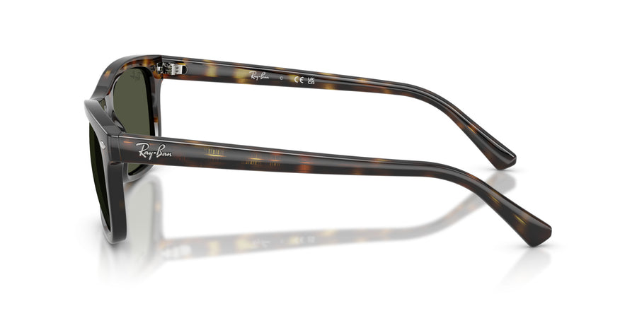 Propionate Unisex Sunglass RB2226 – Havana / Green