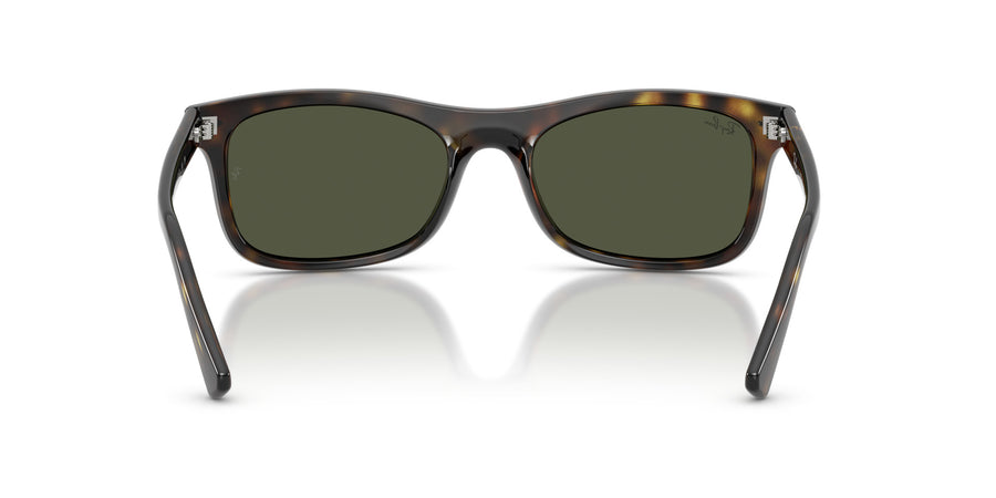 Propionate Unisex Sunglass RB2226 – Havana / Green