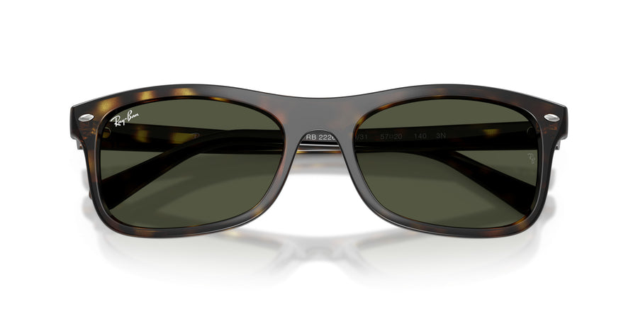 Propionate Unisex Sunglass RB2226 – Havana / Green