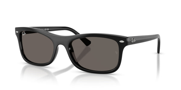 Propionate Unisex Sunglass RB2226 – Black / Dark Grey