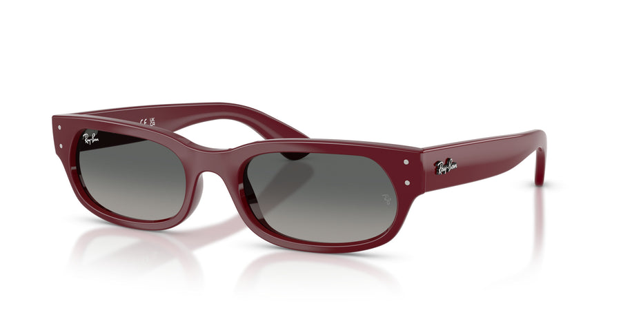 Propionate Unisex Sunglass RB2236 – Light Grey Gradient Dark Grey