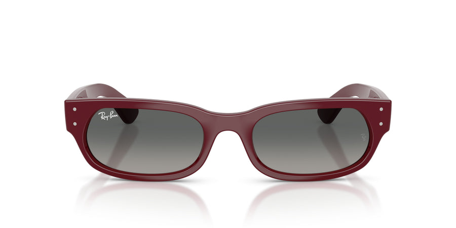 Propionate Unisex Sunglass RB2236 – Light Grey Gradient Dark Grey