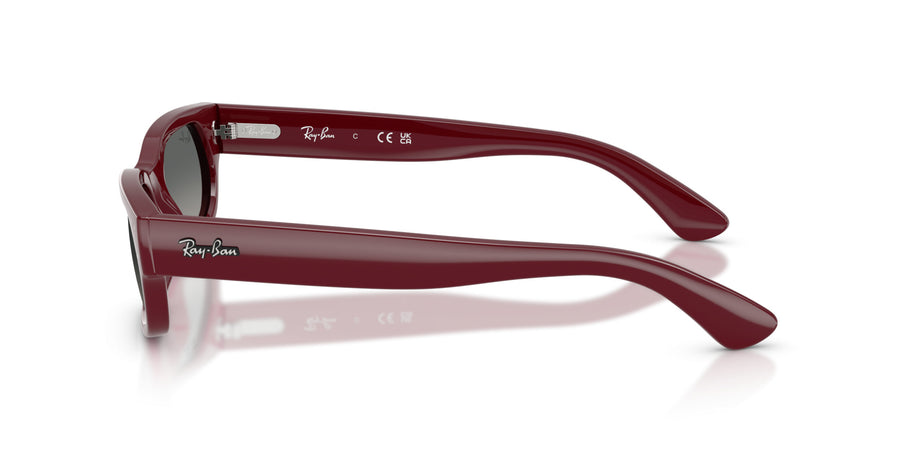Propionate Unisex Sunglass RB2236 – Light Grey Gradient Dark Grey