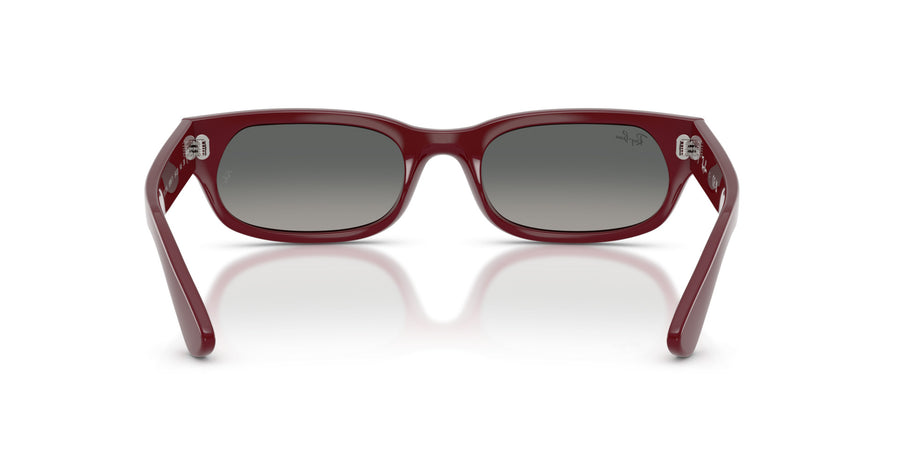 Propionate Unisex Sunglass RB2236 – Light Grey Gradient Dark Grey