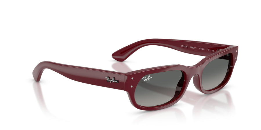 Propionate Unisex Sunglass RB2236 – Light Grey Gradient Dark Grey