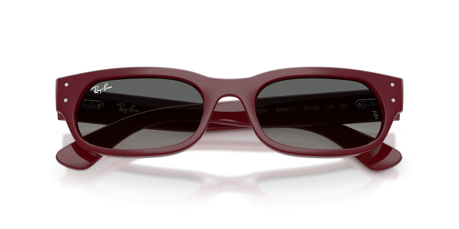 Propionate Unisex Sunglass RB2236 – Light Grey Gradient Dark Grey