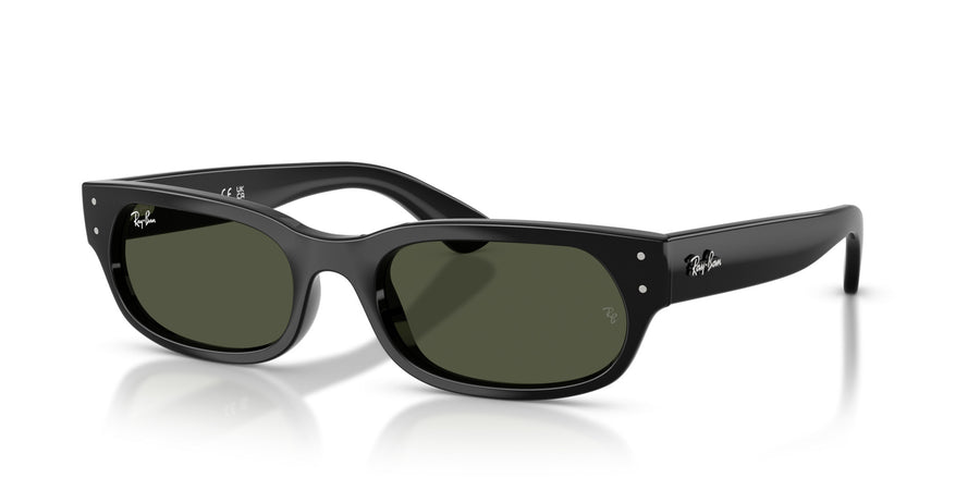 Propionate Unisex Sunglass RB2236 – Black / Green