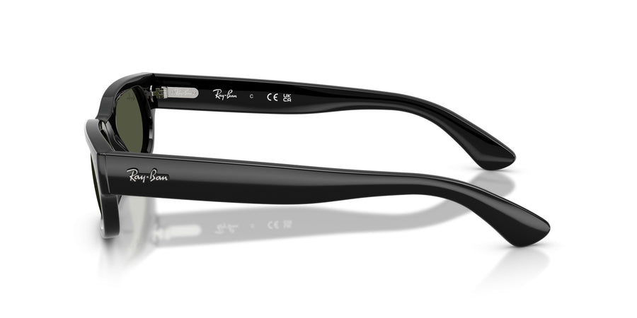 Propionate Unisex Sunglass RB2236 – Black / Green