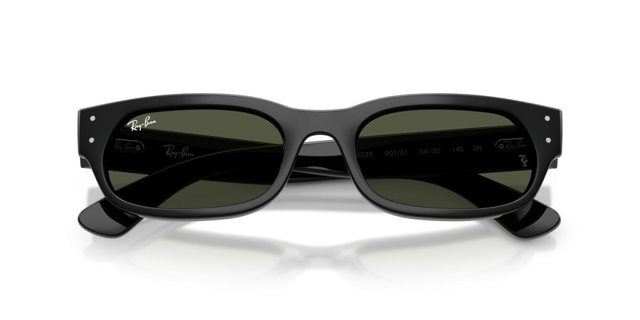 Propionate Unisex Sunglass RB2236 – Black / Green