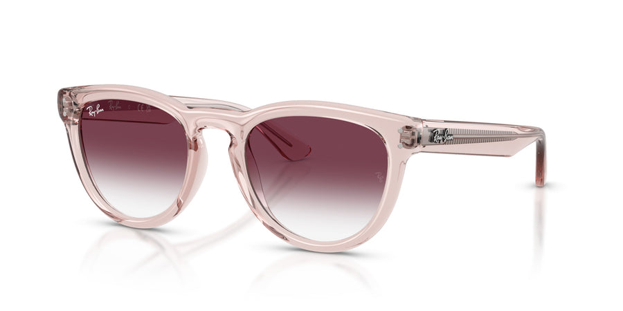 Propionate Unisex Sunglass RB2237 – Clear Gradient Dark Violet