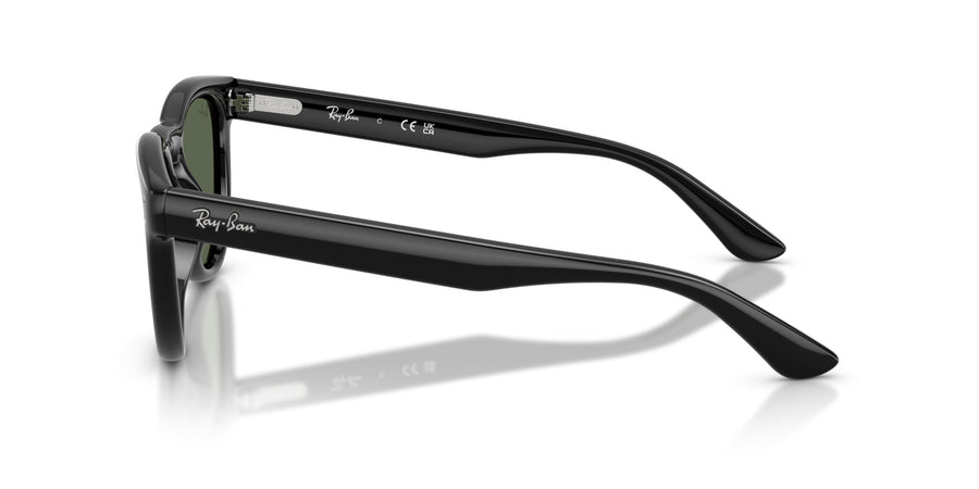 Propionate Unisex Sunglass RB2237 – Black / Dark Green