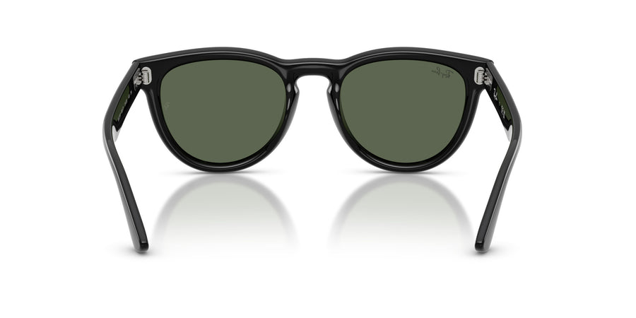 Propionate Unisex Sunglass RB2237 – Black / Dark Green