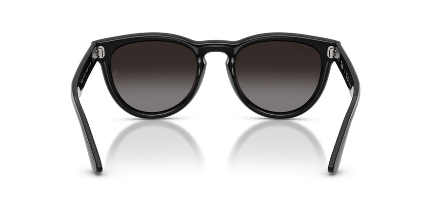 Propionate Unisex Sunglass RB2237 – Black / Polar Light Grey Gradient Grey
