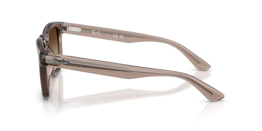 Propionate Unisex Sunglass RB2238 – Light Brown Gradient Dark Brown