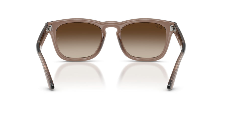 Propionate Unisex Sunglass RB2238 – Light Brown Gradient Dark Brown