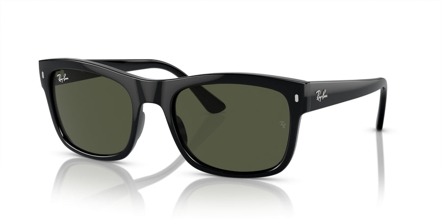 Propionate Unisex Sunglass RB4428 – Black / Green