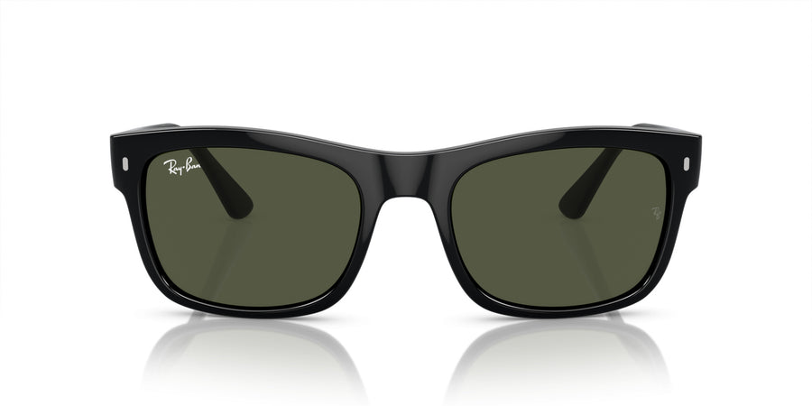 Propionate Unisex Sunglass RB4428 – Black / Green